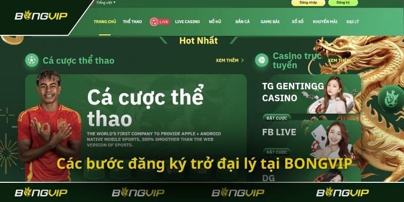 Đại Lý Bongvip - Chương Trình Hợp Tác Kiếm Thu Nhập Khủng 2025